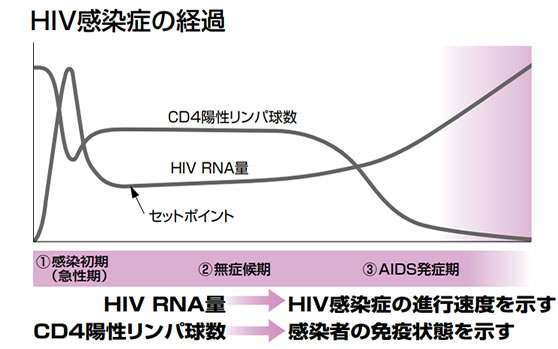 HIV感染症の経過